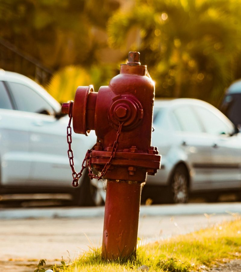 Boca de incendio en el césped